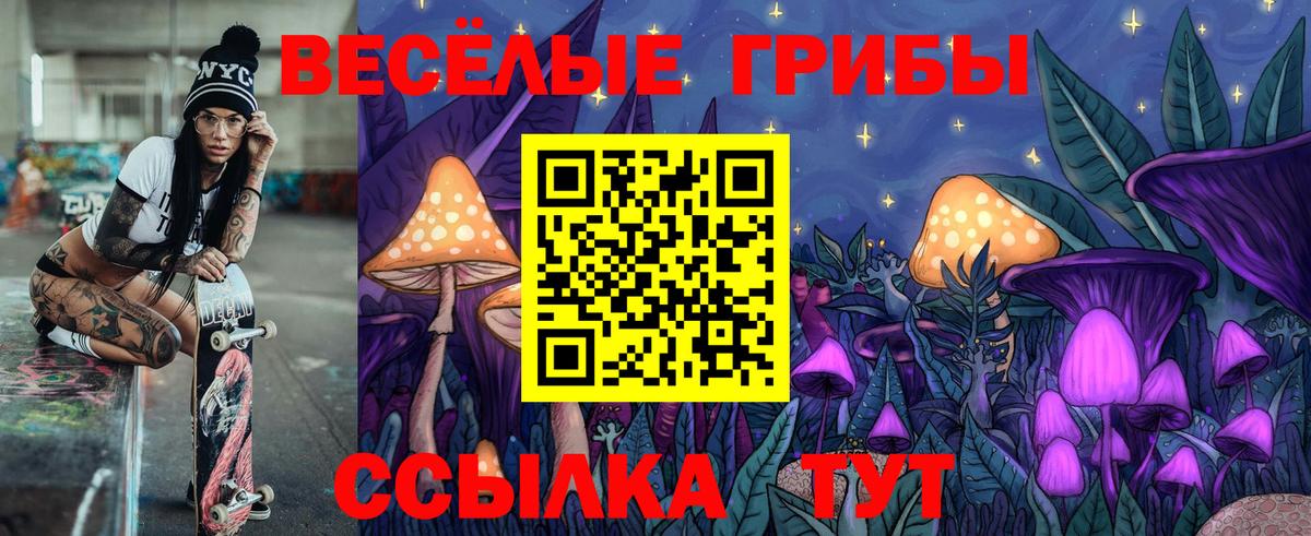 Галлюциногенные грибы MAGIC MUSHROOMS Кизляр